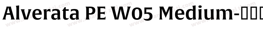 Alverata PE W05 Medium字体转换